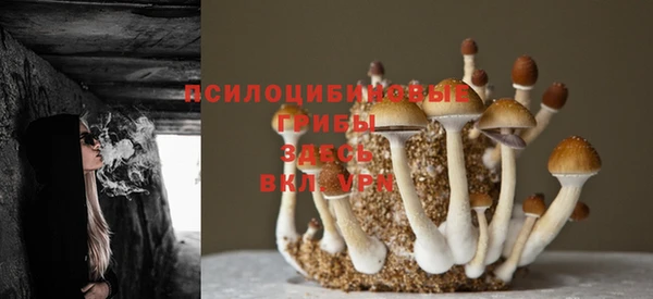 мдма Ельня