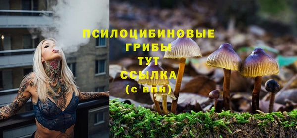 мдма Ельня